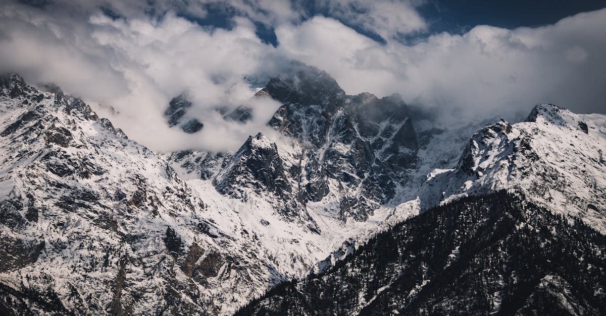 découvrez les inspirations de la nature à travers des paysages à couper le souffle, des couleurs éclatantes et des formes organiques. plongez dans un univers où la beauté naturelle stimule votre créativité et éveille vos sens.