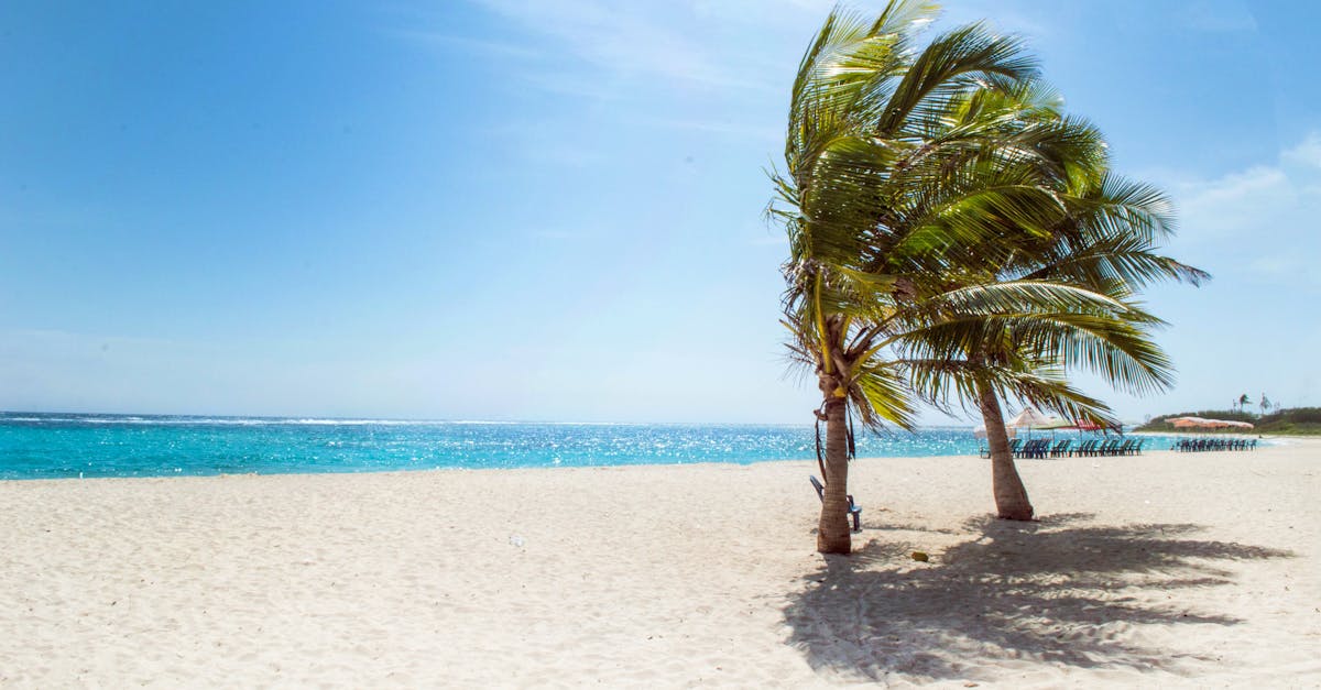 découvrez un lieu d'évasion inégalé avec 'paradise' : une expérience immersive qui vous transporte dans un univers de détente et de beauté. explorez des paysages à couper le souffle, savourez des moments de sérénité et laissez-vous séduire par des activités inoubliables. votre havre de paix vous attend.