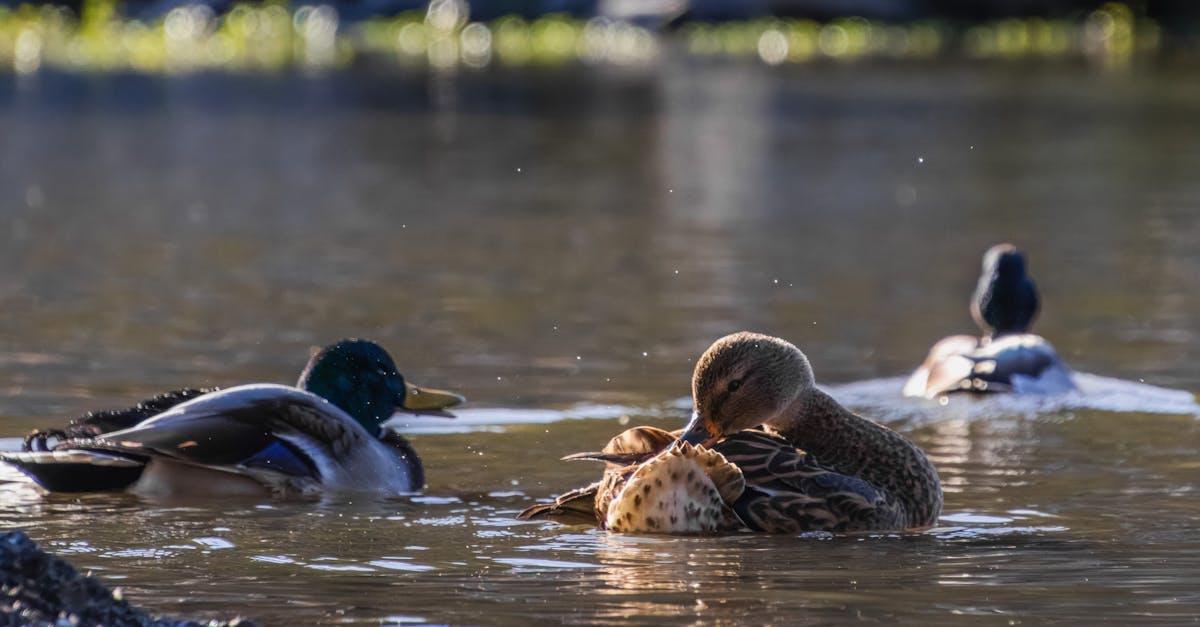 bienvenue sur notre homepage : découvrez nos services, nos actualités et toutes les informations essentielles pour profiter pleinement de notre site. naviguez facilement et accédez rapidement à ce que vous cherchez !