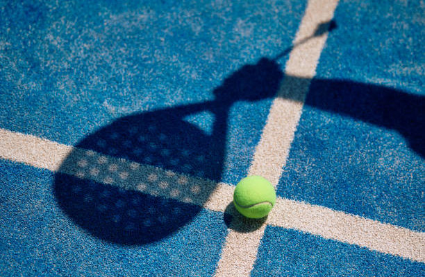 Devis construction terrain de pickleball